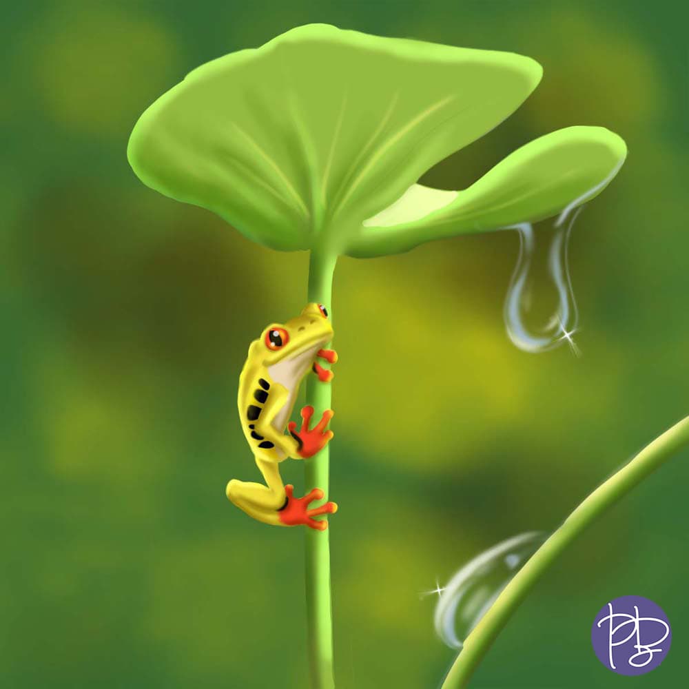 Tree Frog