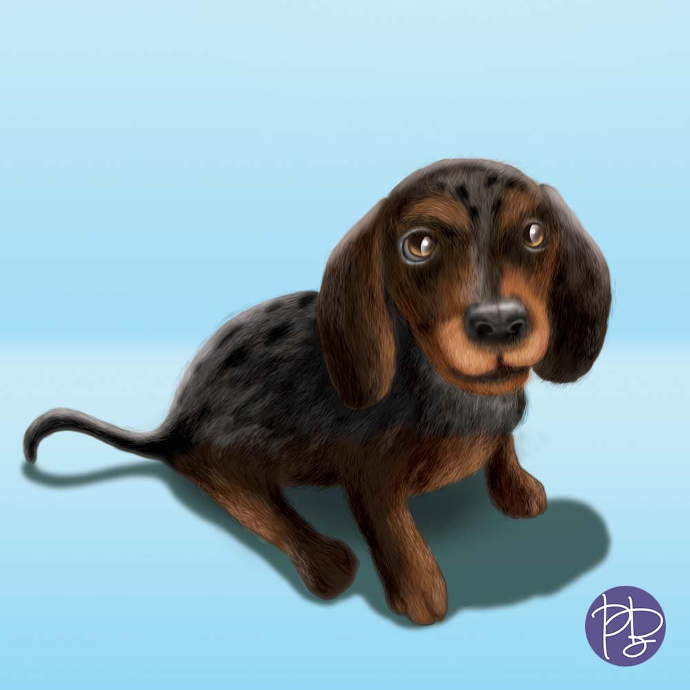Puppy