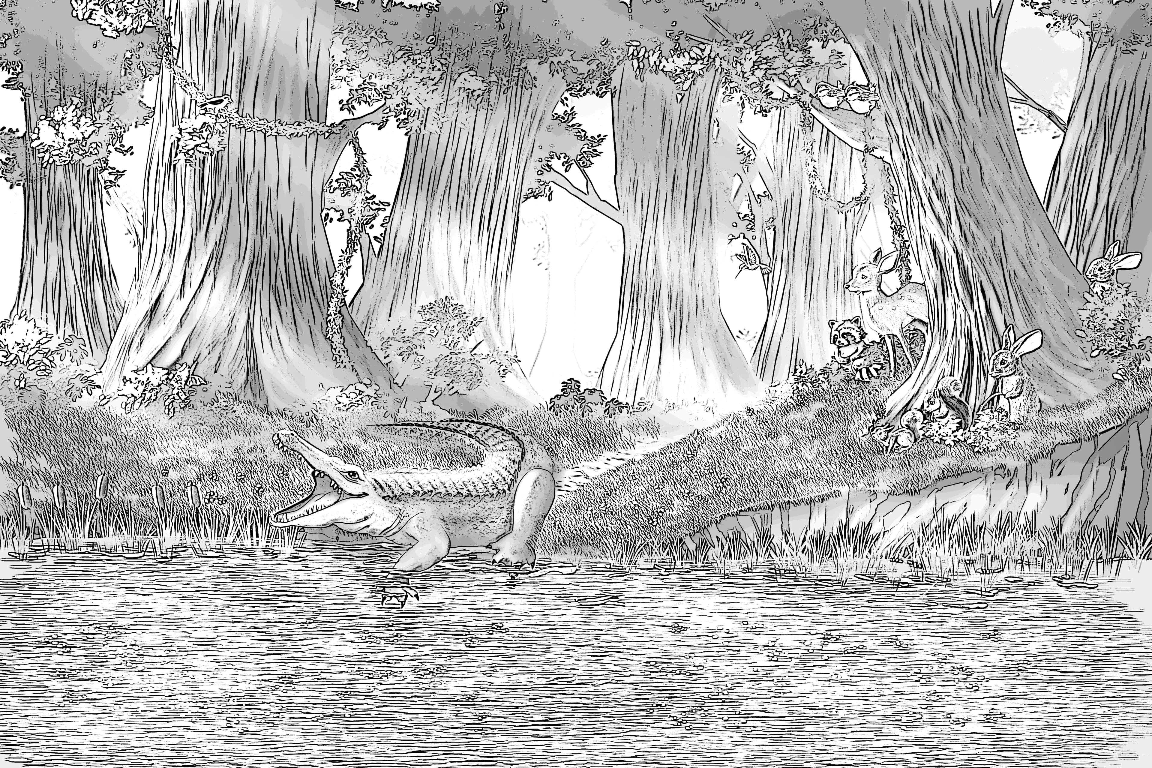Coloring page preview: coloring-2